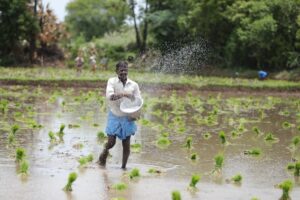 "Farmers in India participating in Herbalife's Seed-to-Mouth initiative for sustainable agriculture and income generation."