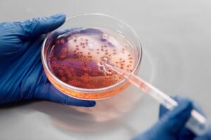 Genesis MedTech Antibacterial Sutures Approval